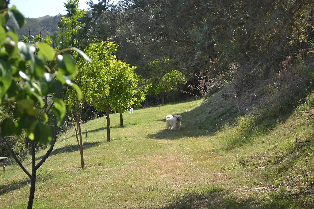 Quinta Azul Guest House Odeceixe Country house